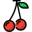 external cherry-fruit-tulpahn-outline-color-tulpahn icon