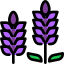 external lavender-hokkaido-tulpahn-outline-color-tulpahn icon