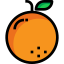 external orange-fruit-tulpahn-outline-color-tulpahn icon