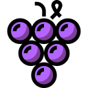 external grape-fruit-tulpahn-outline-color-tulpahn icon