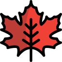 external maple-leaf-autumn-tulpahn-outline-color-tulpahn icon