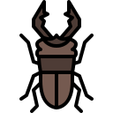 external stag-beetle-insect-tulpahn-outline-color-tulpahn icon