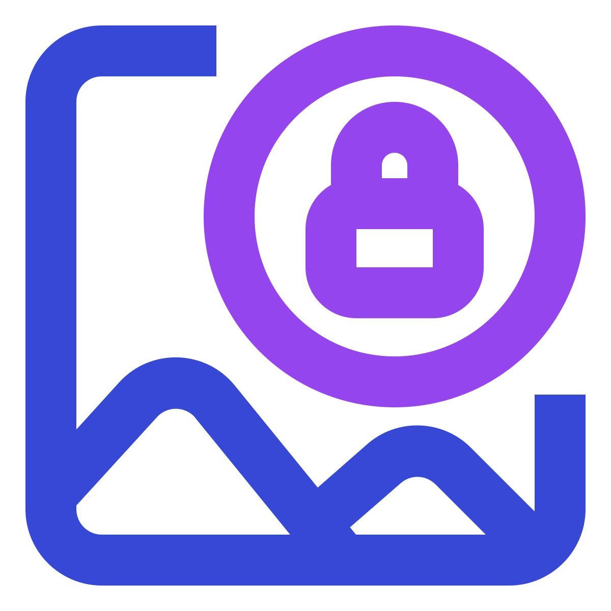 image lock icon