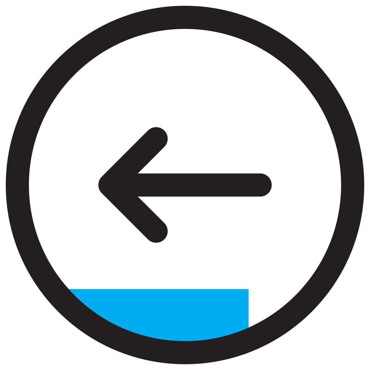 back icon