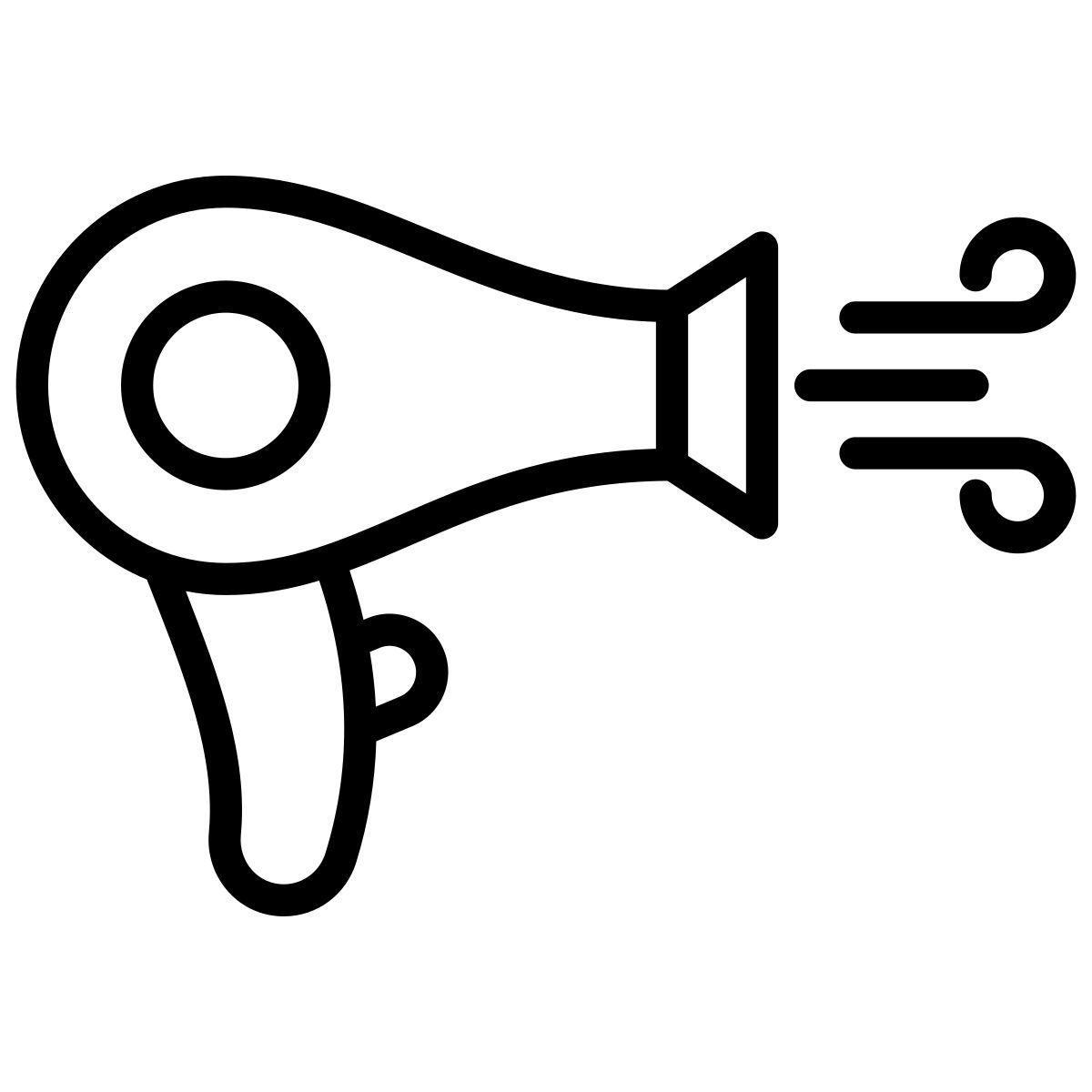 hair dryer icon