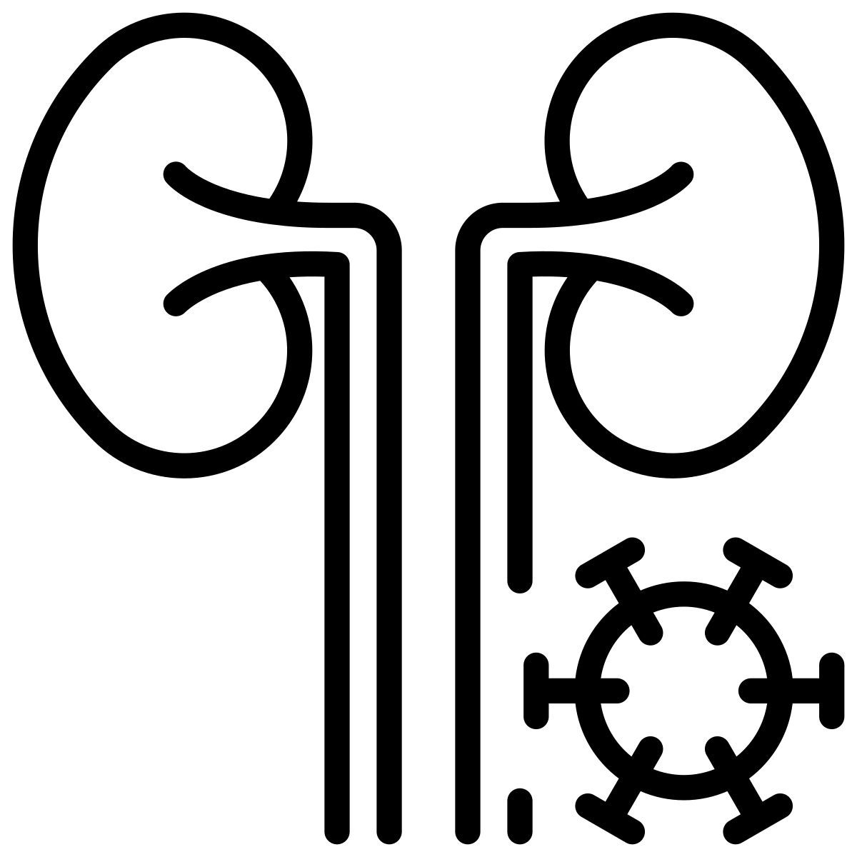 infected kidneys icon