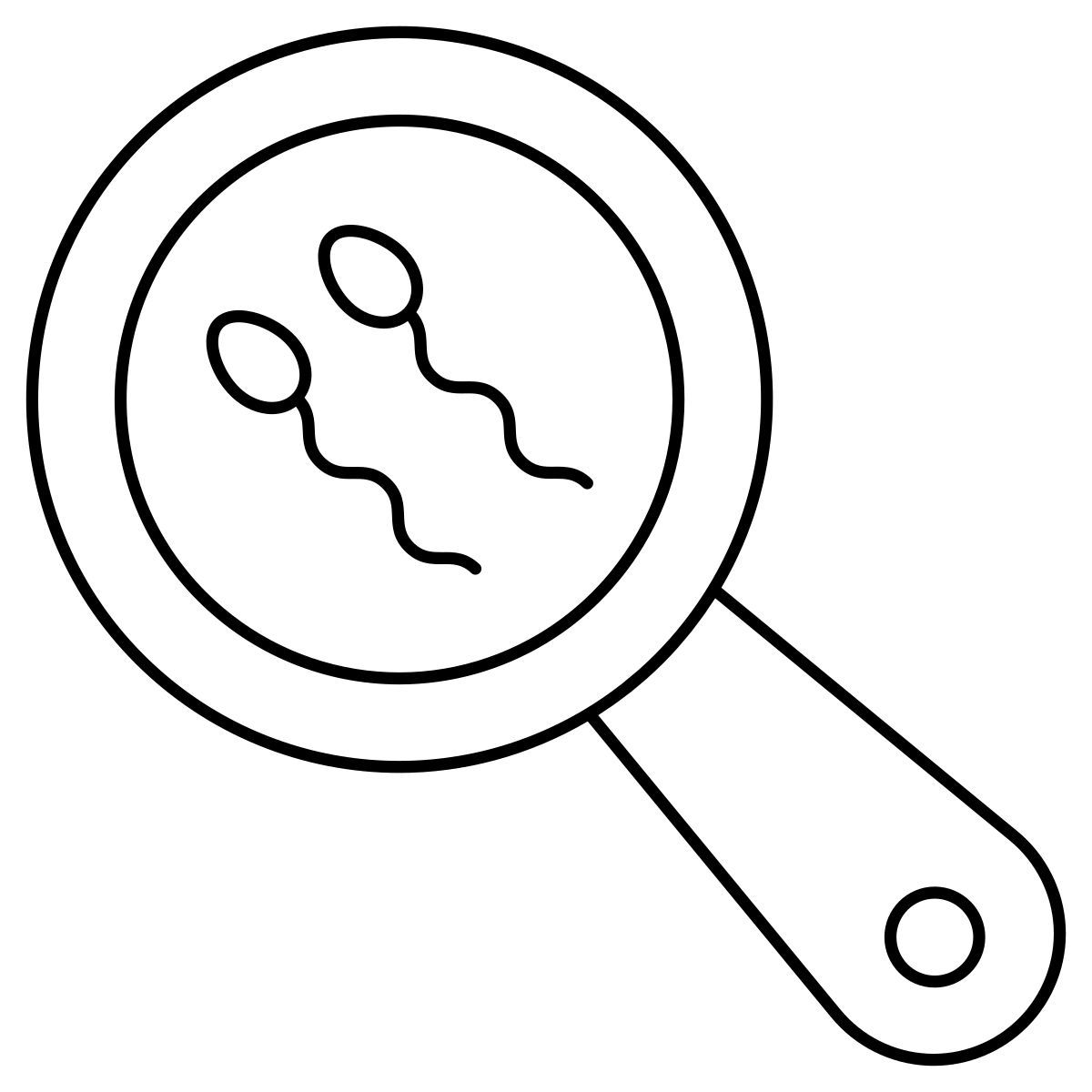 search sperms icon