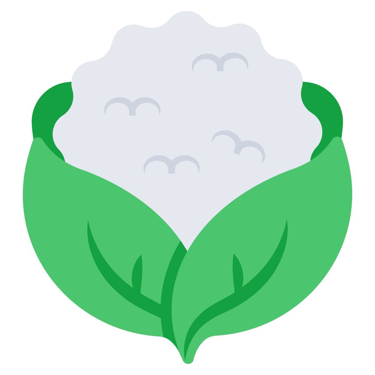 cauliflower icon