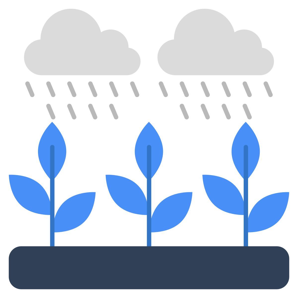 field rain icon