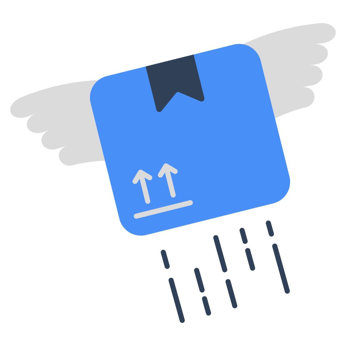 flying parcel icon