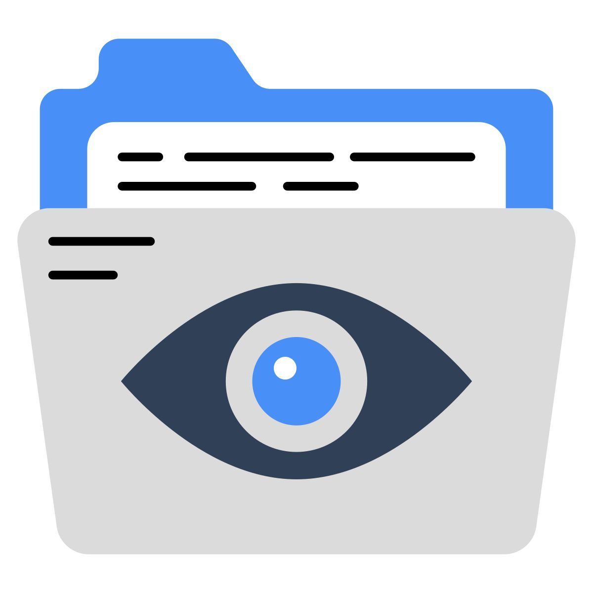folder inspection icon