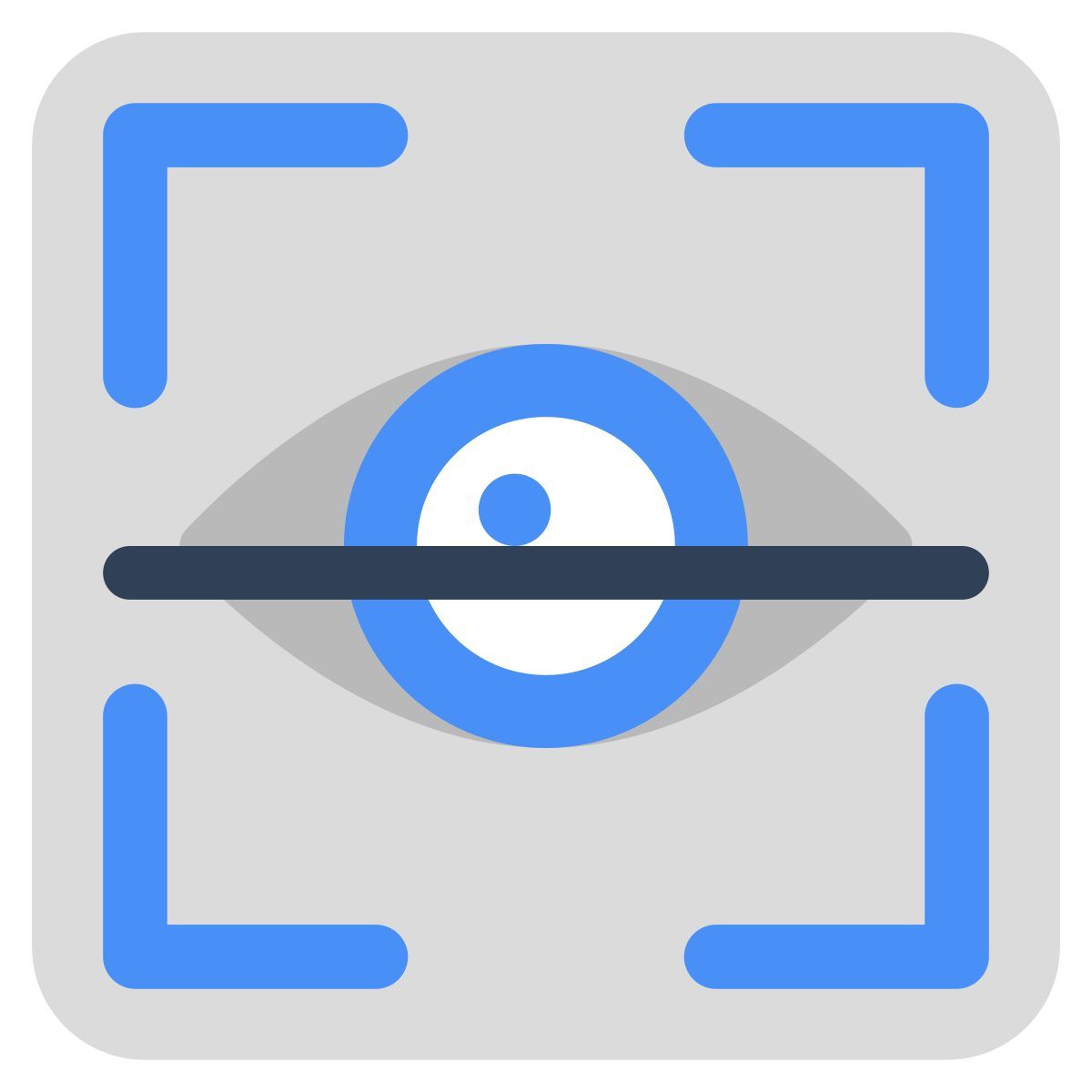 iris recognition icon