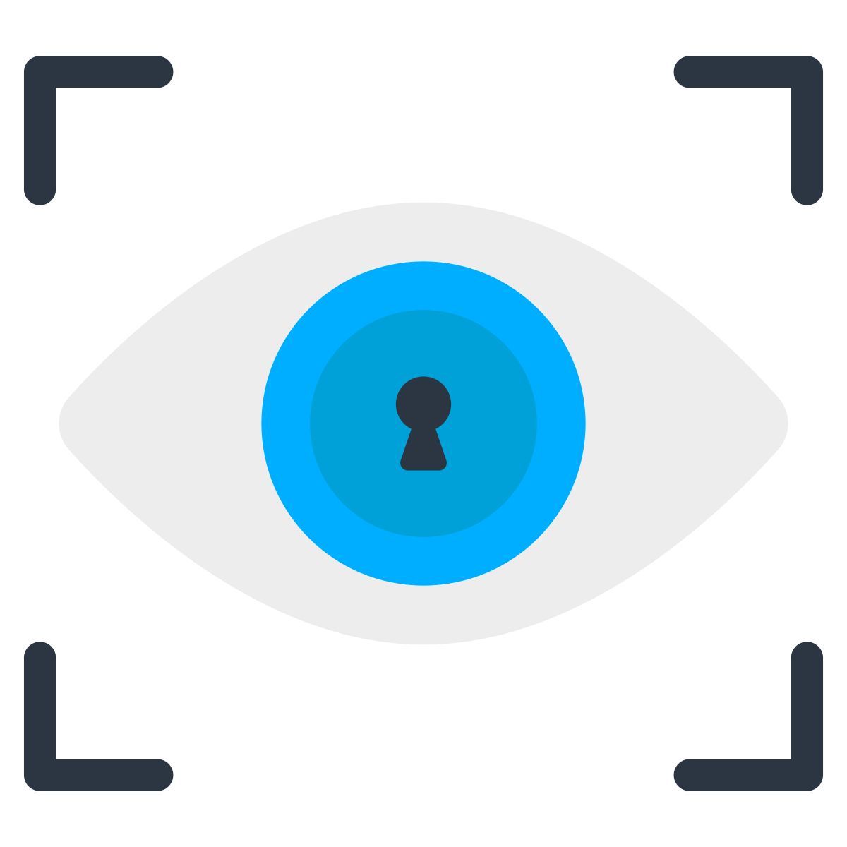 iris recognition icon