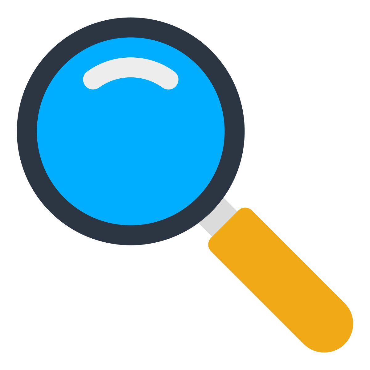magnifier icon