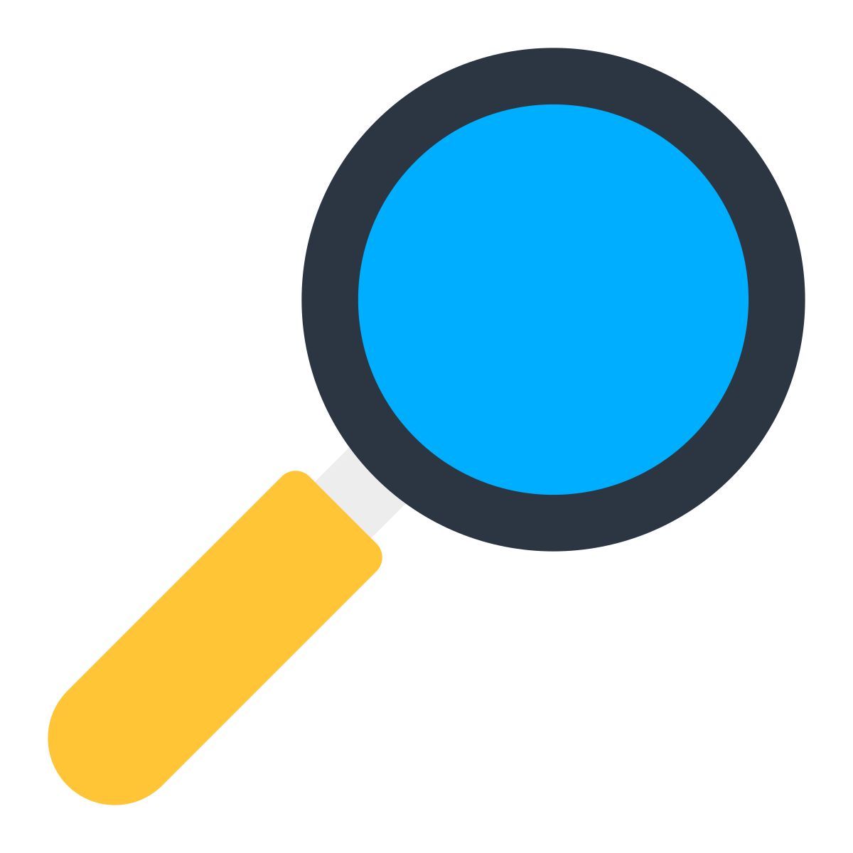 magnifier icon