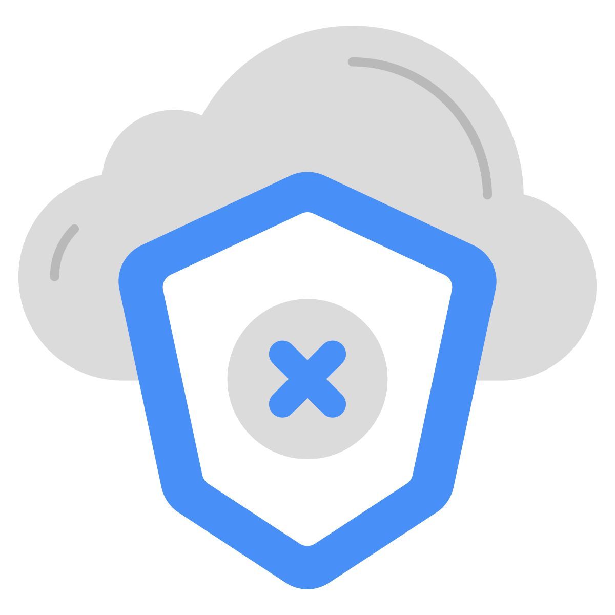 Nessuna sicurezza nel cloud icon