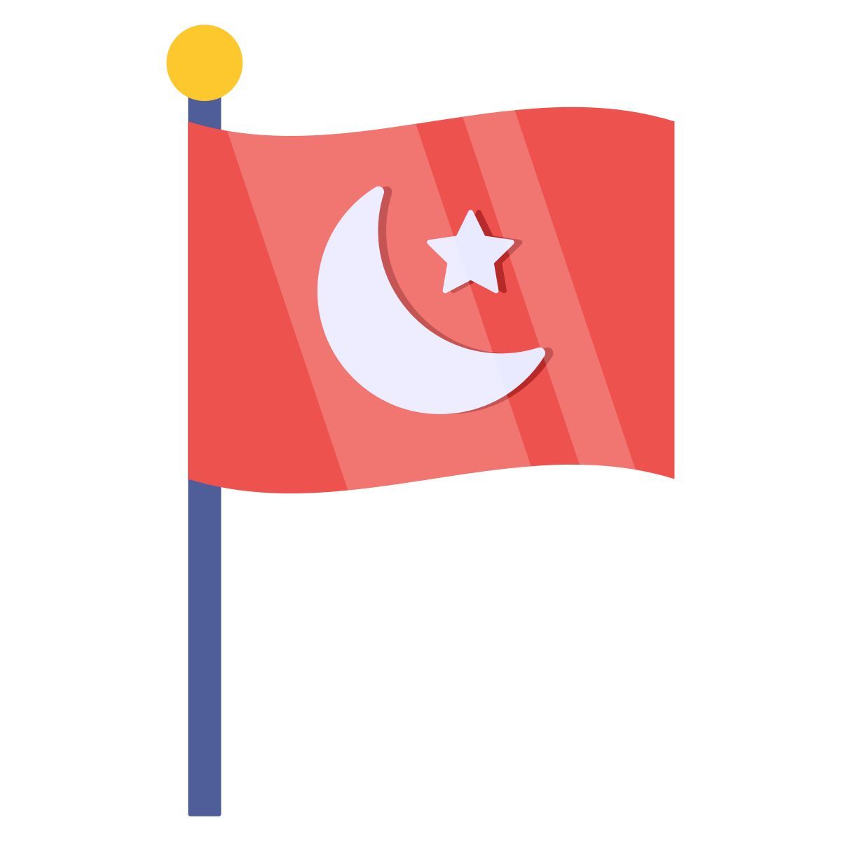 pakistan flag icon