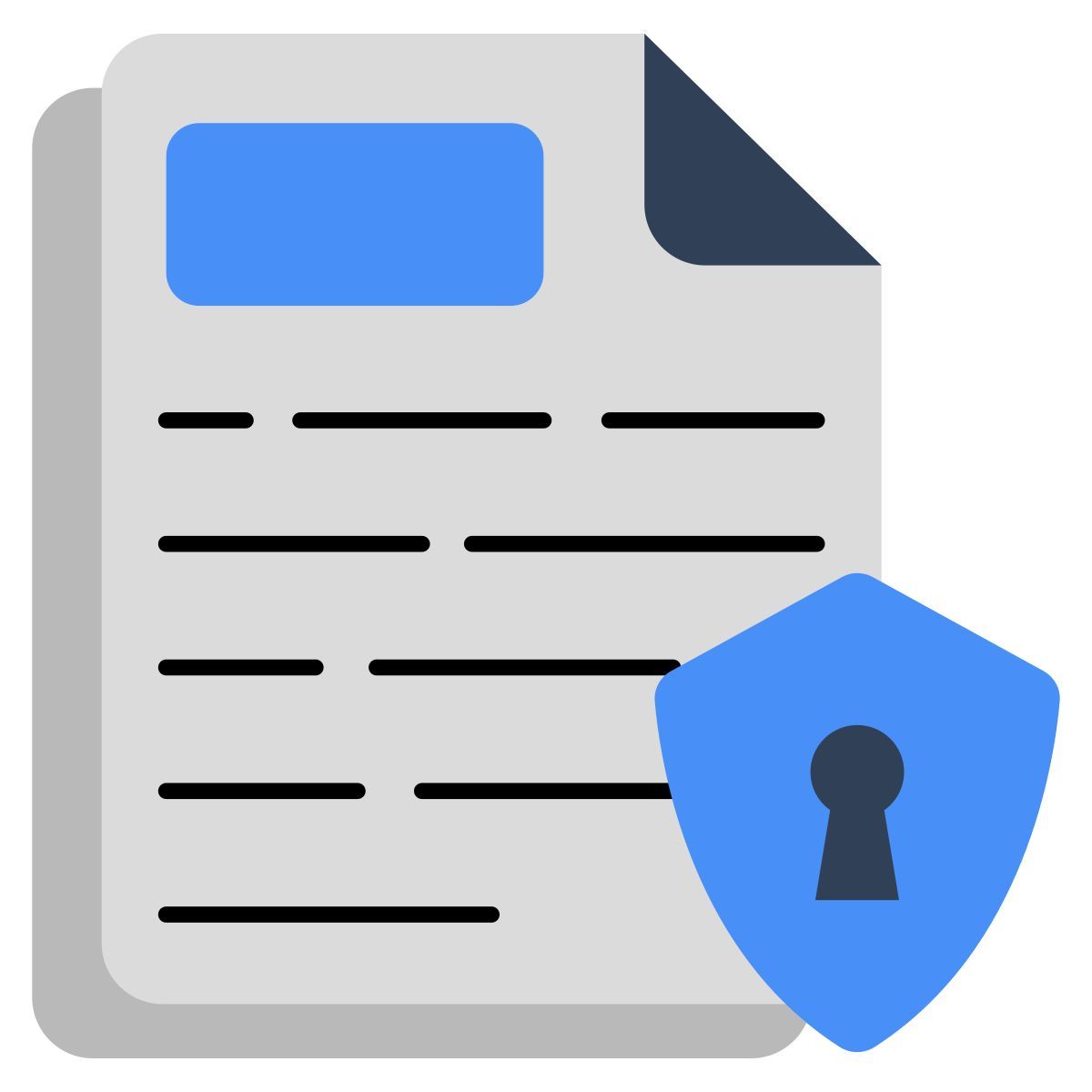 fichier sécurisé icon