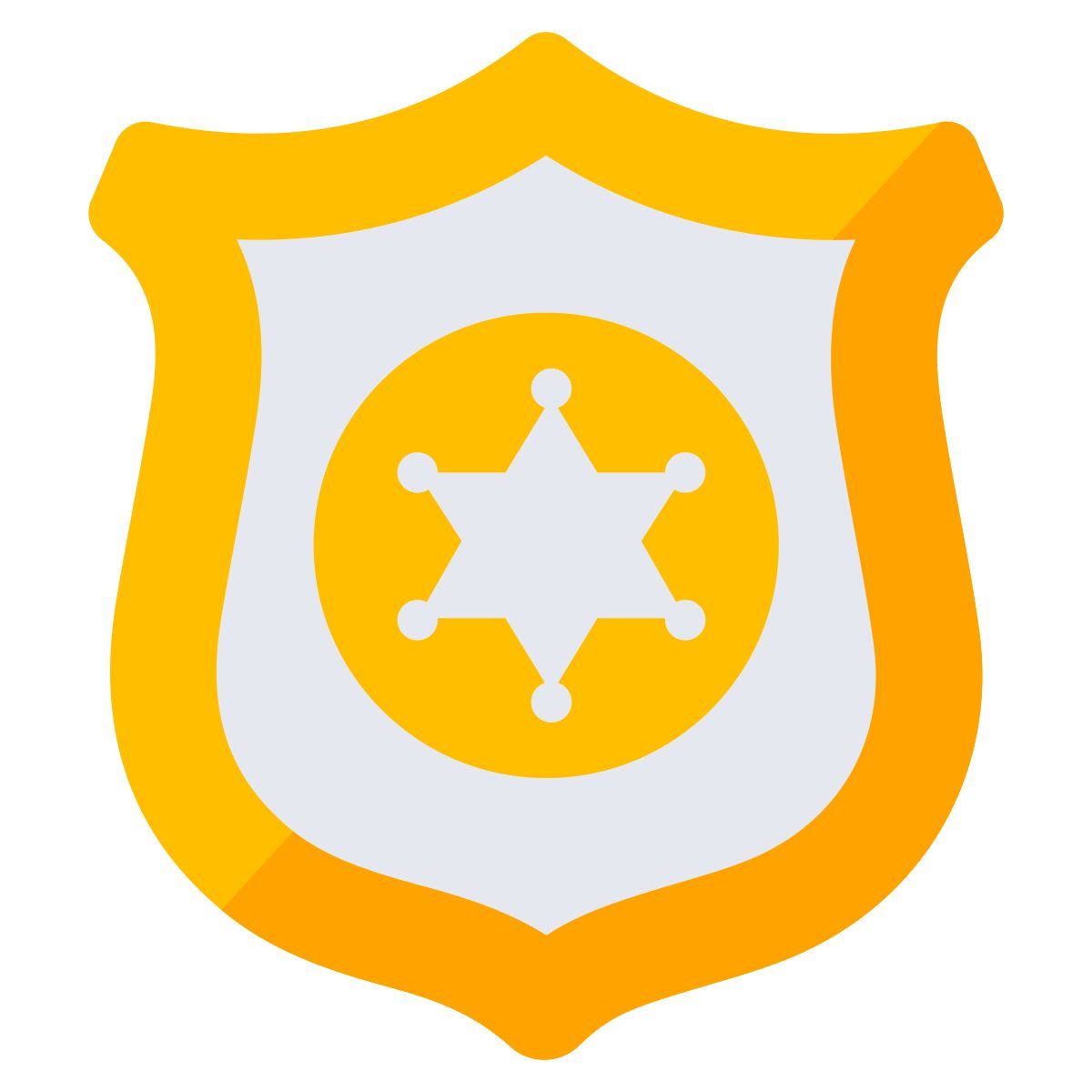 star shield icon