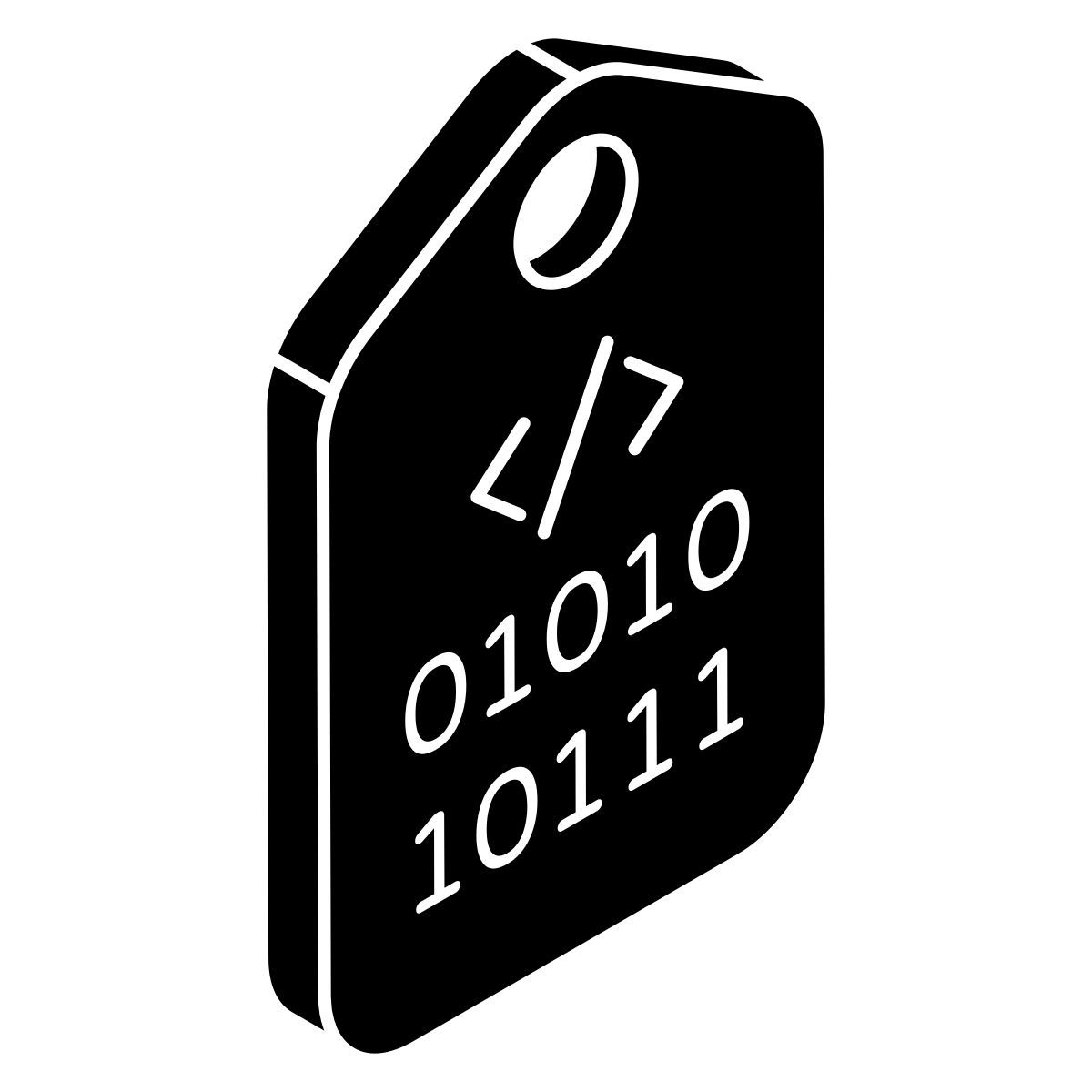 binary code tag icon
