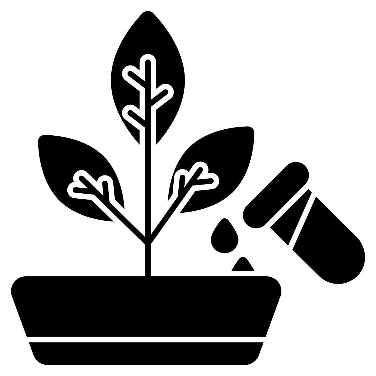 flacon botanique icon