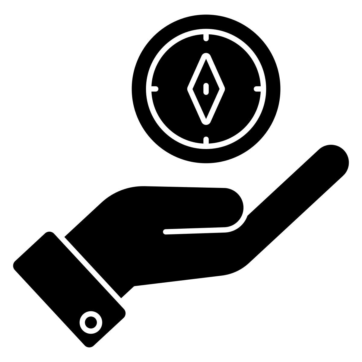 compass icon