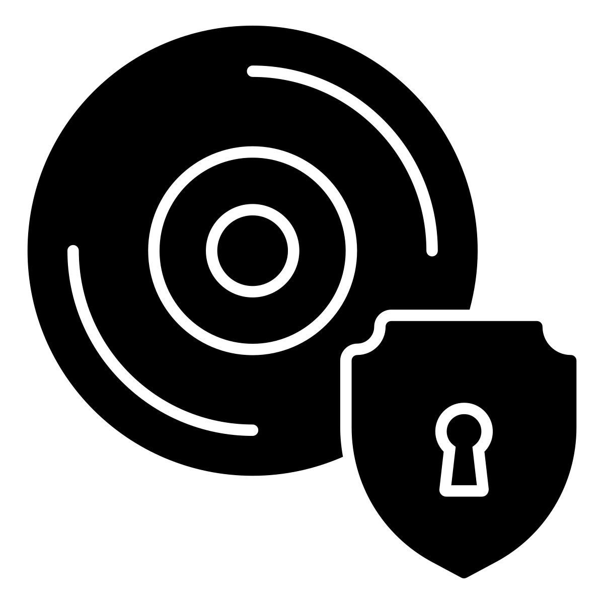 disc security icon