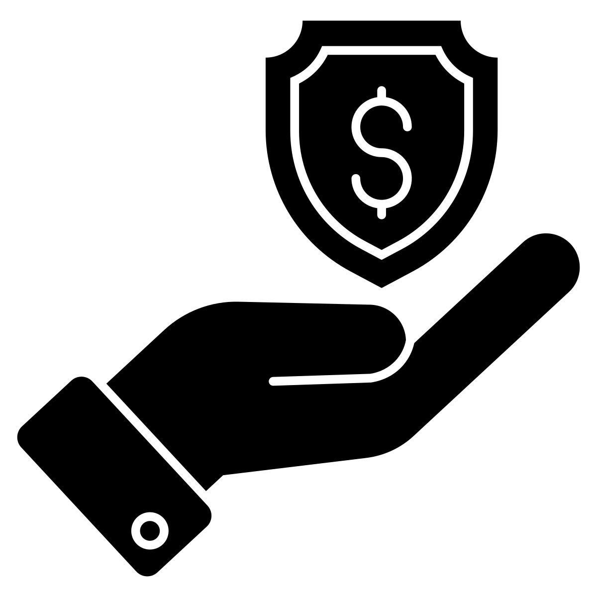 financial protection icon