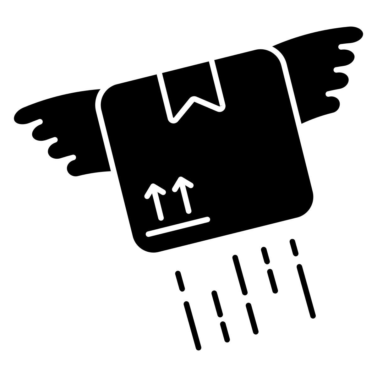 flying parcel icon