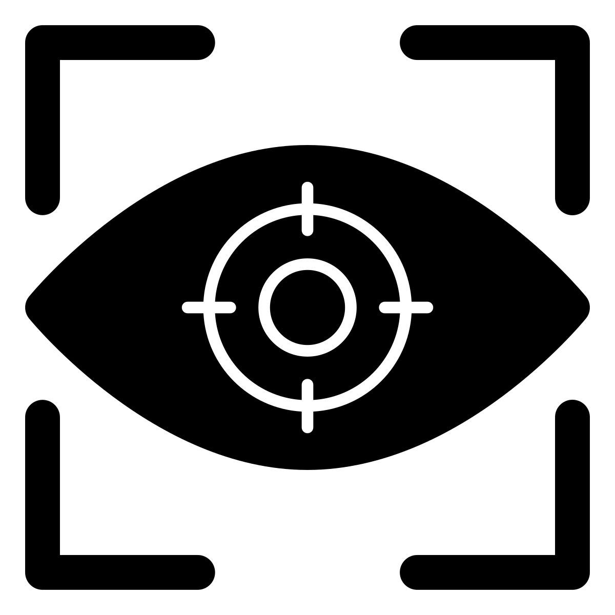 iris recognition icon