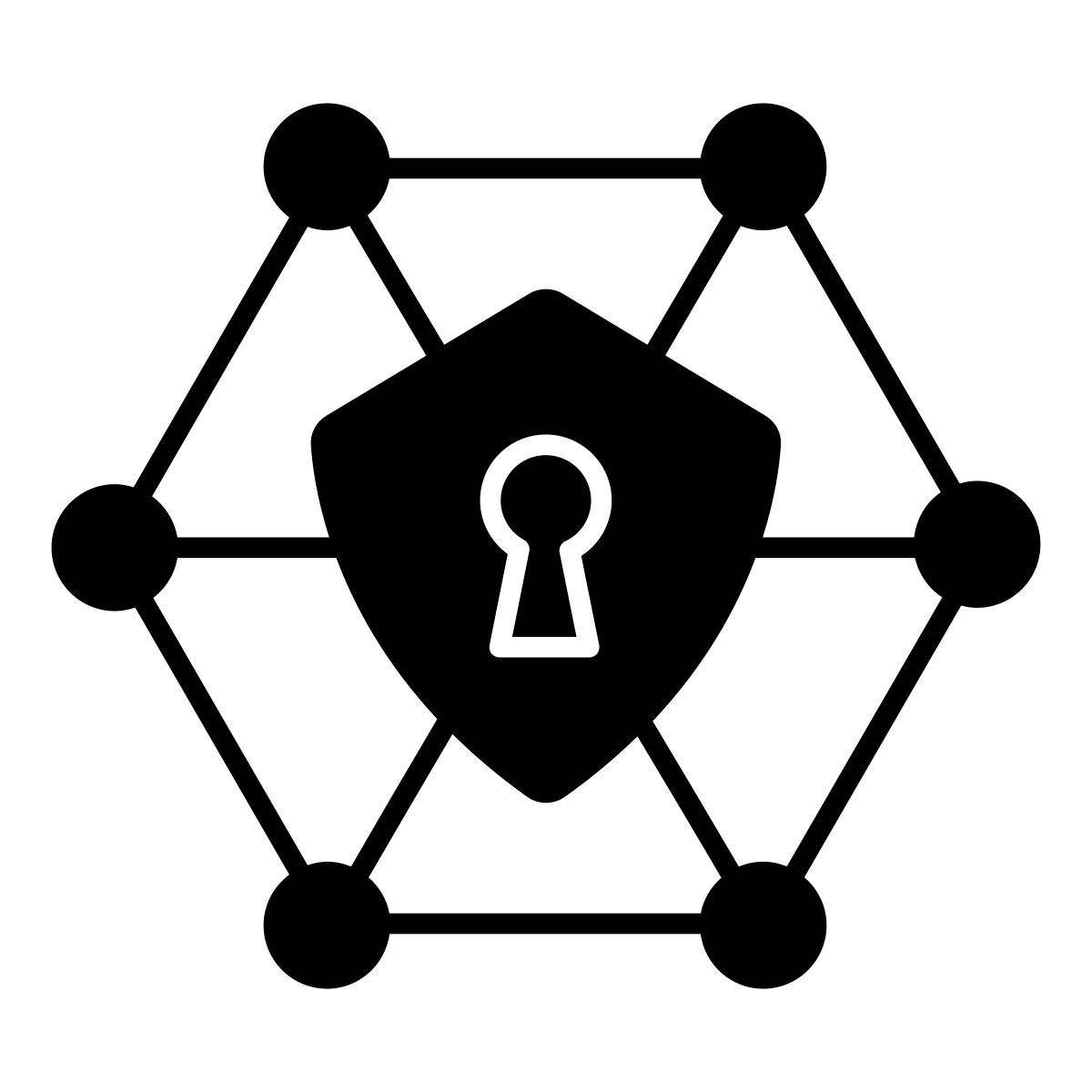 network security icon