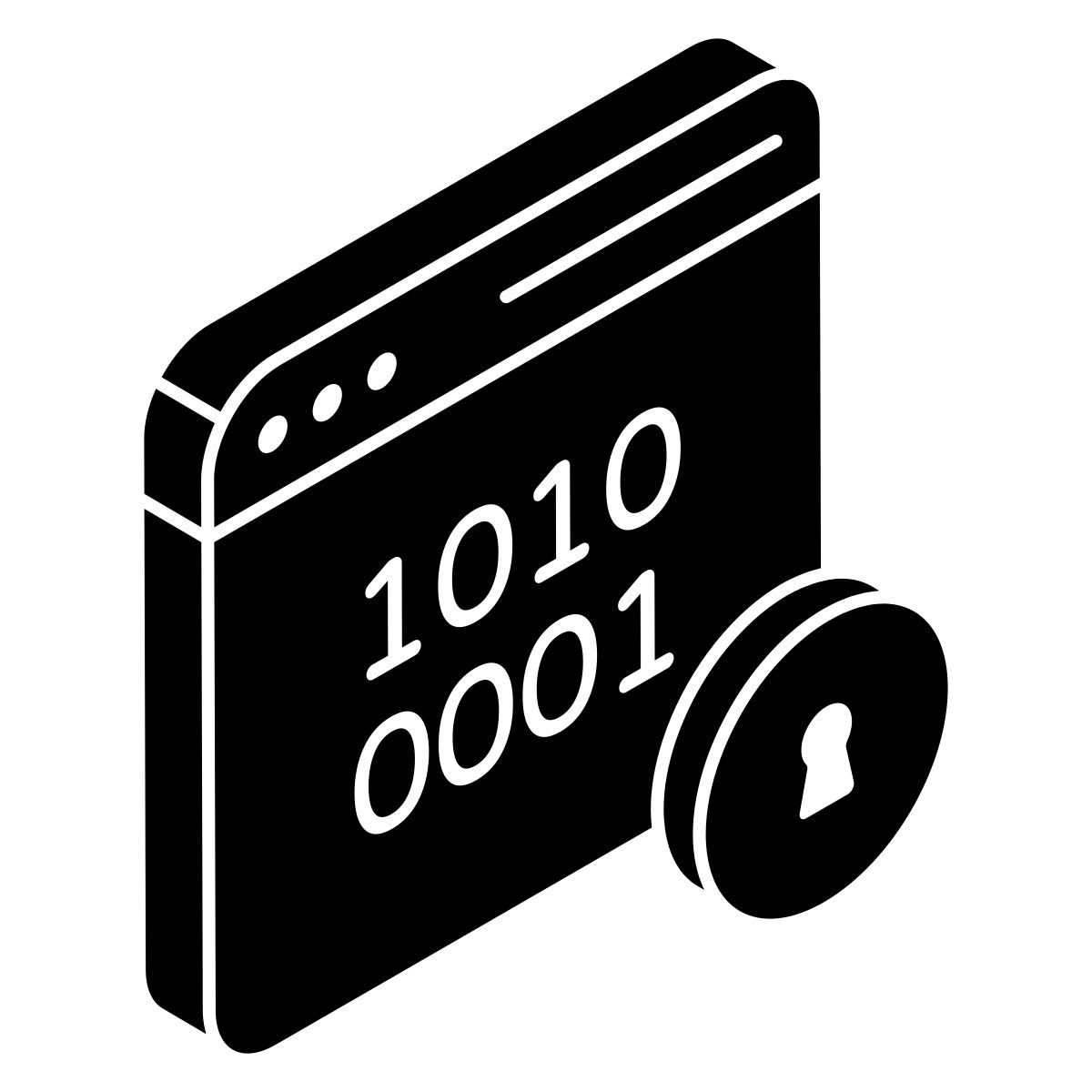 secure binary data icon