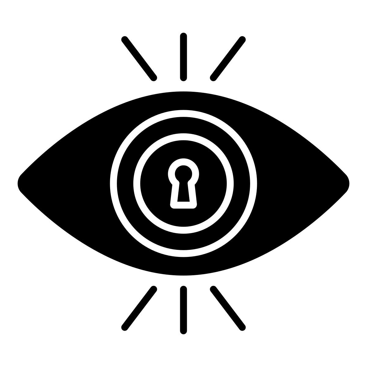 security monitoring icon