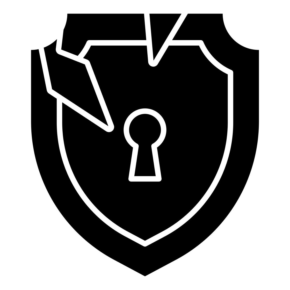 security shield icon