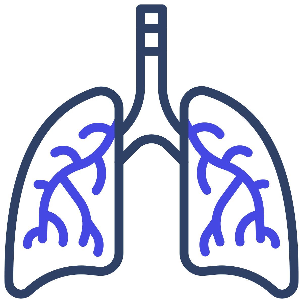 lungs icon