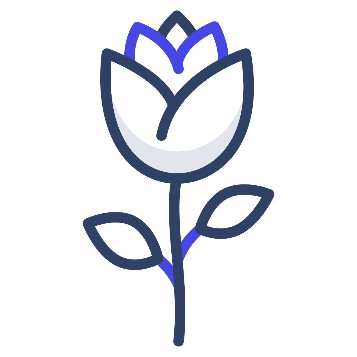 rose icon