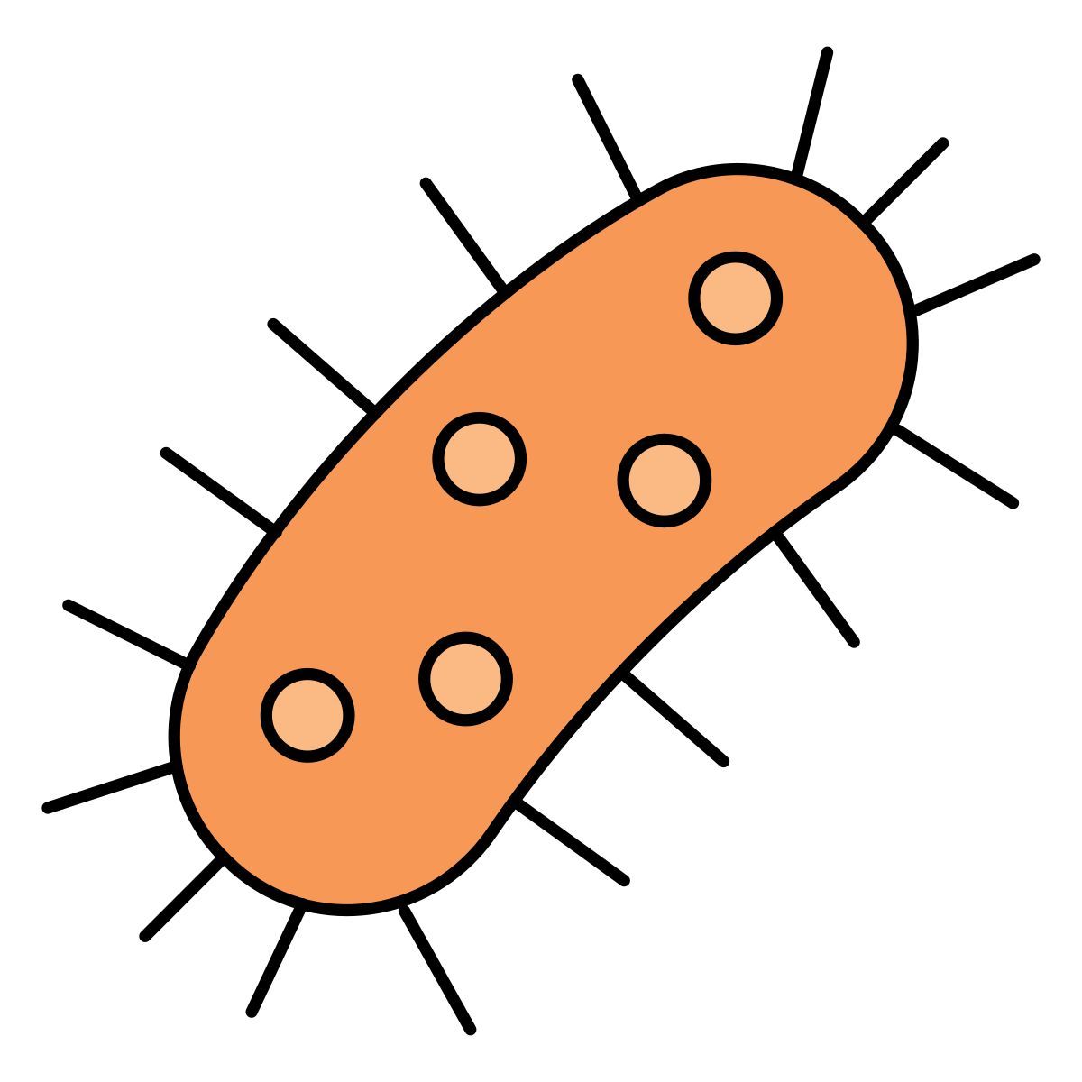 bakterien icon