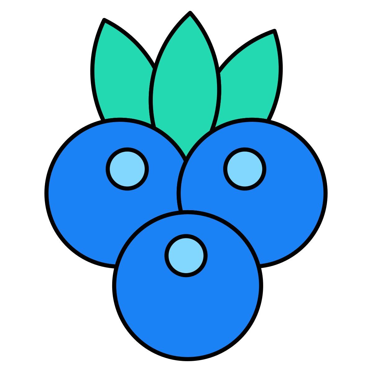 blueberries icon