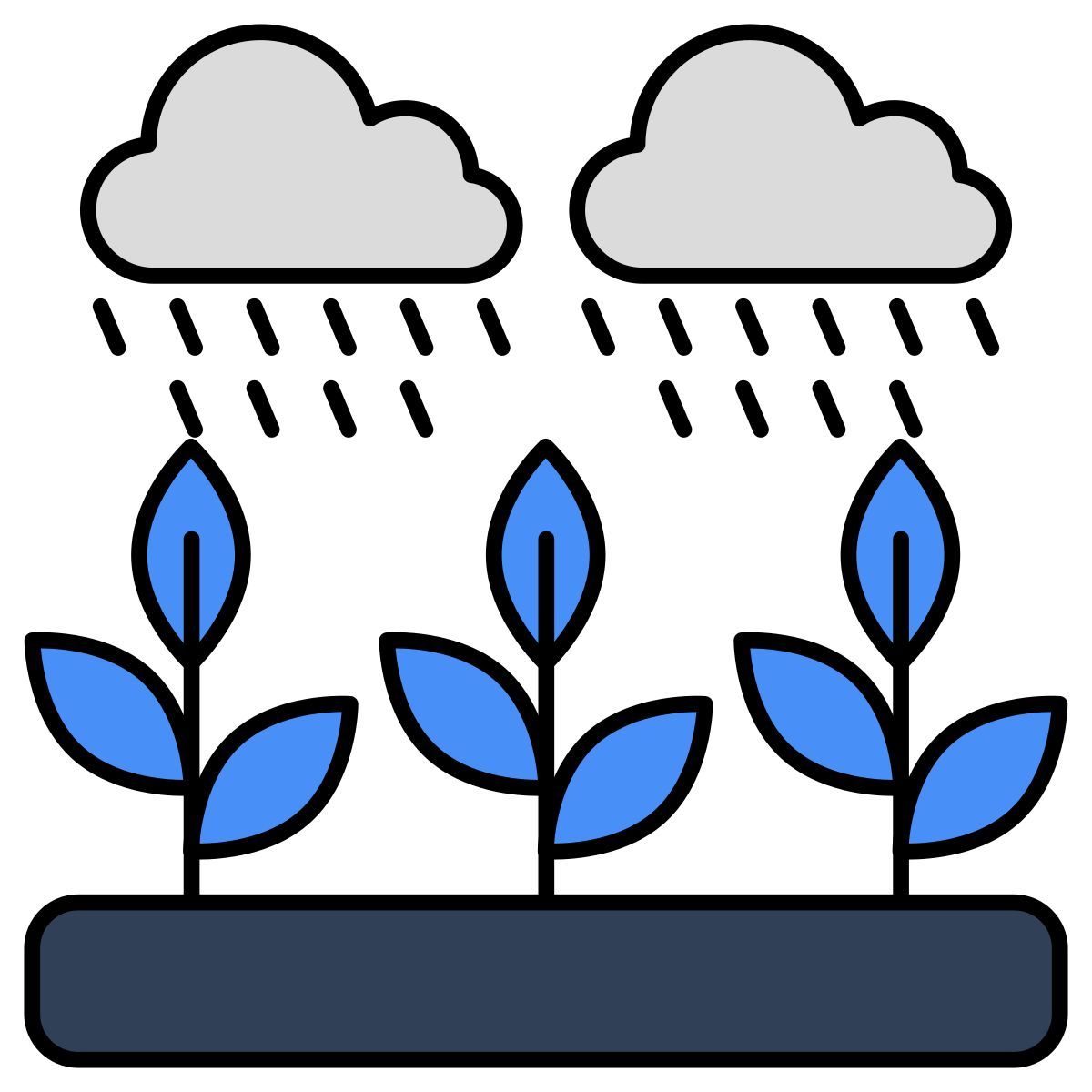 rain icon