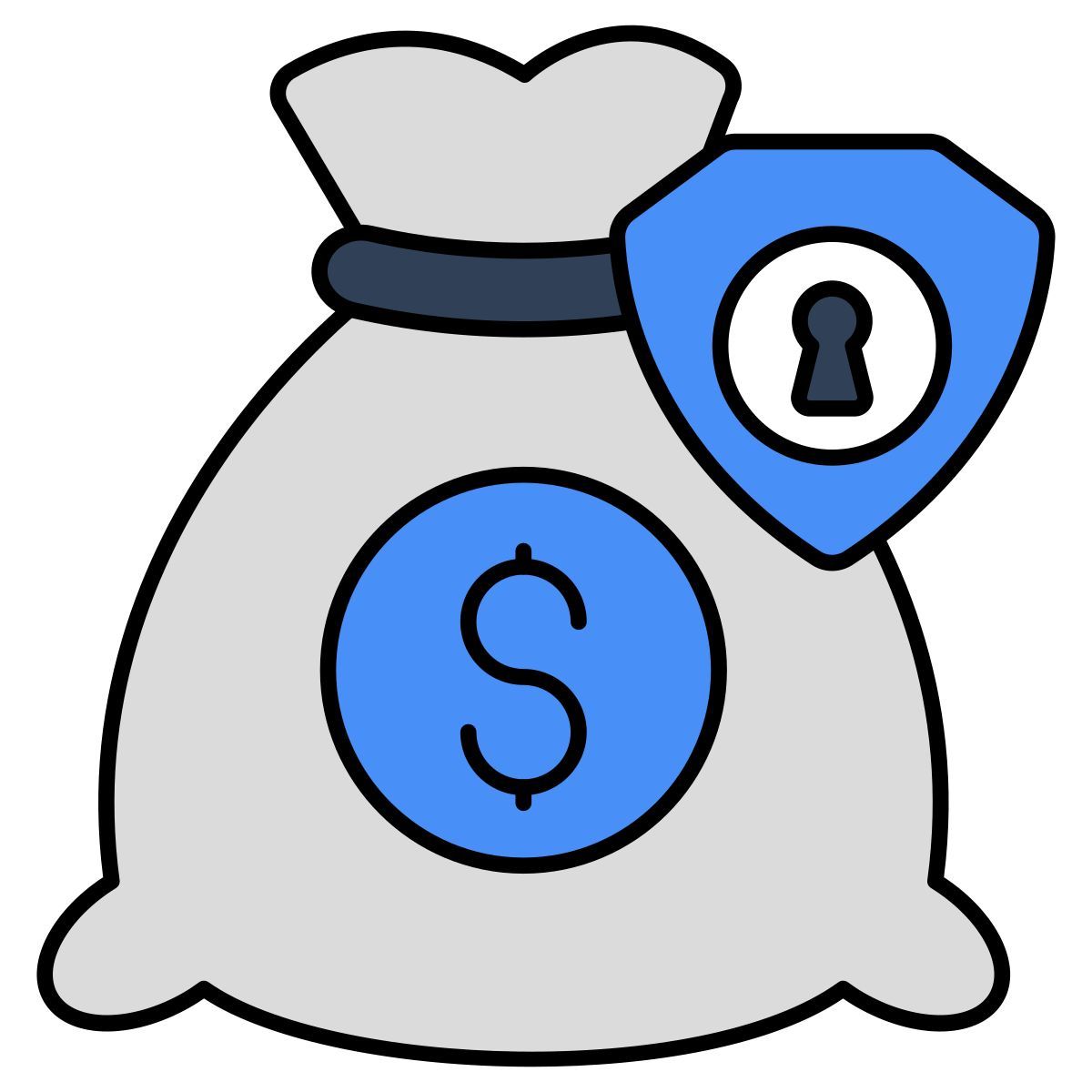 financial security icon