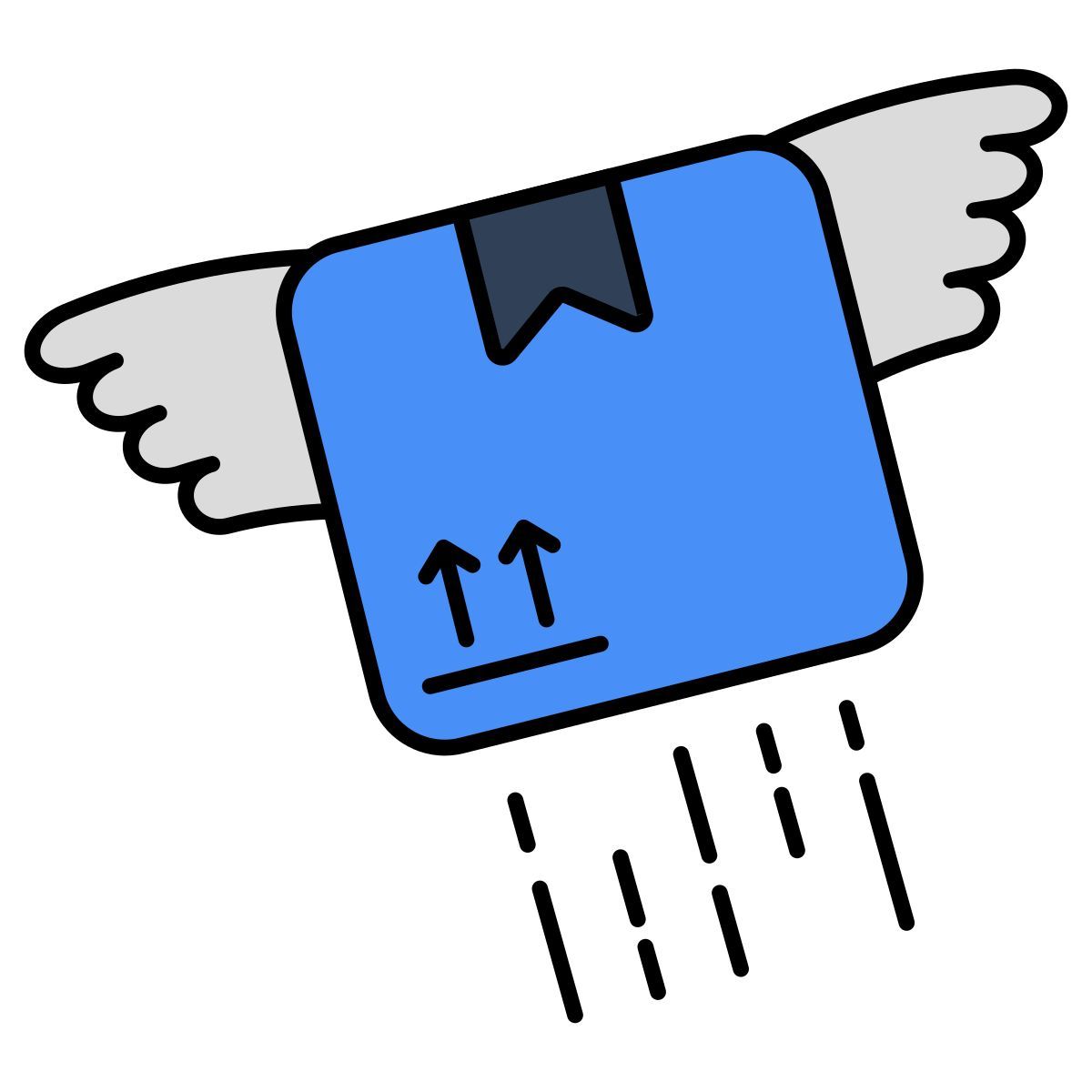 flying parcel icon