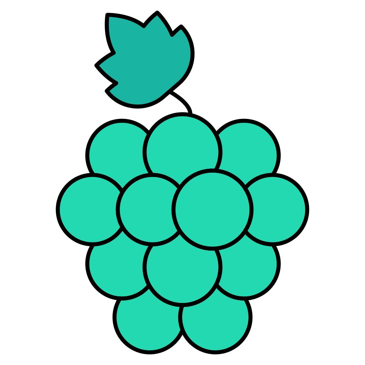 葡萄 icon
