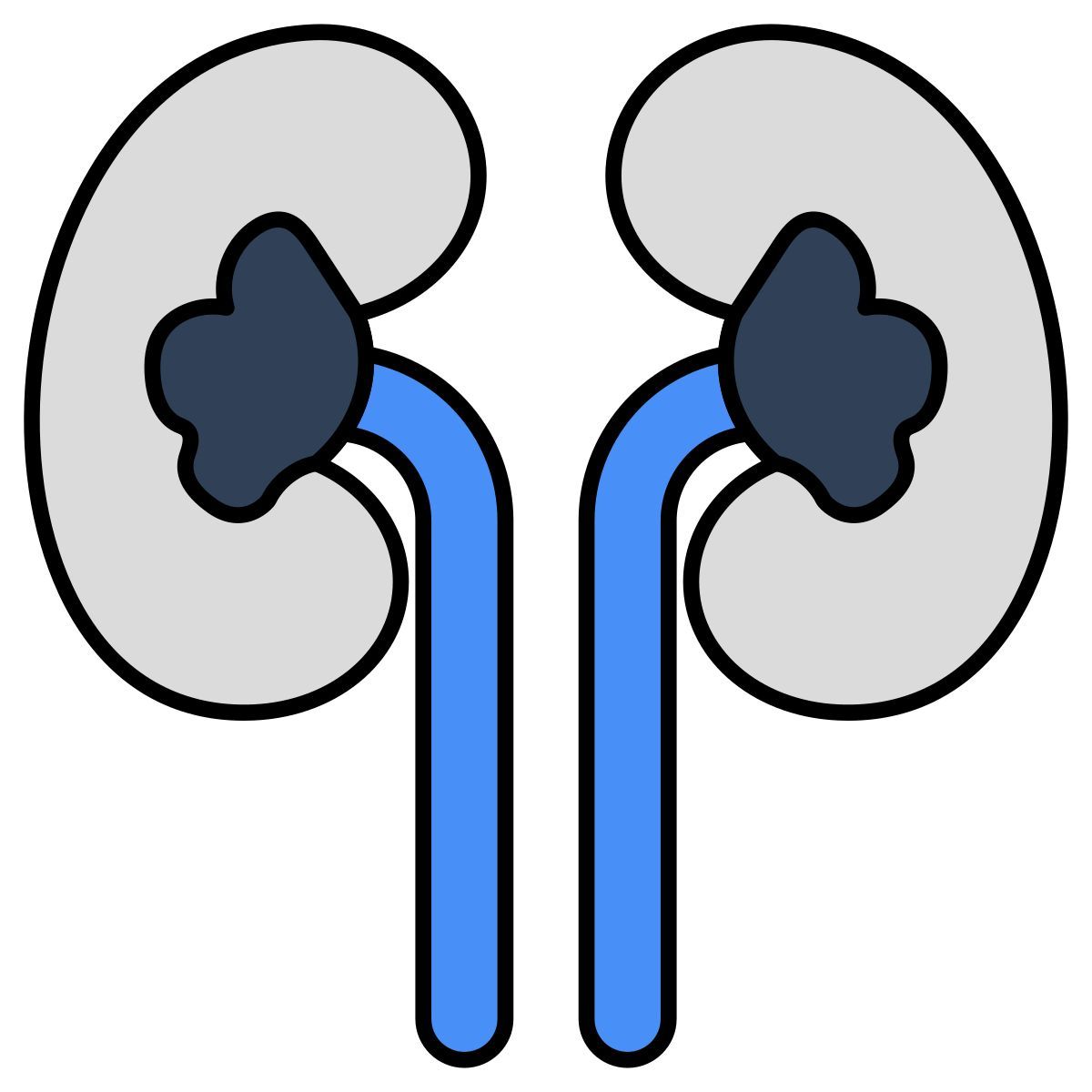 reni icon
