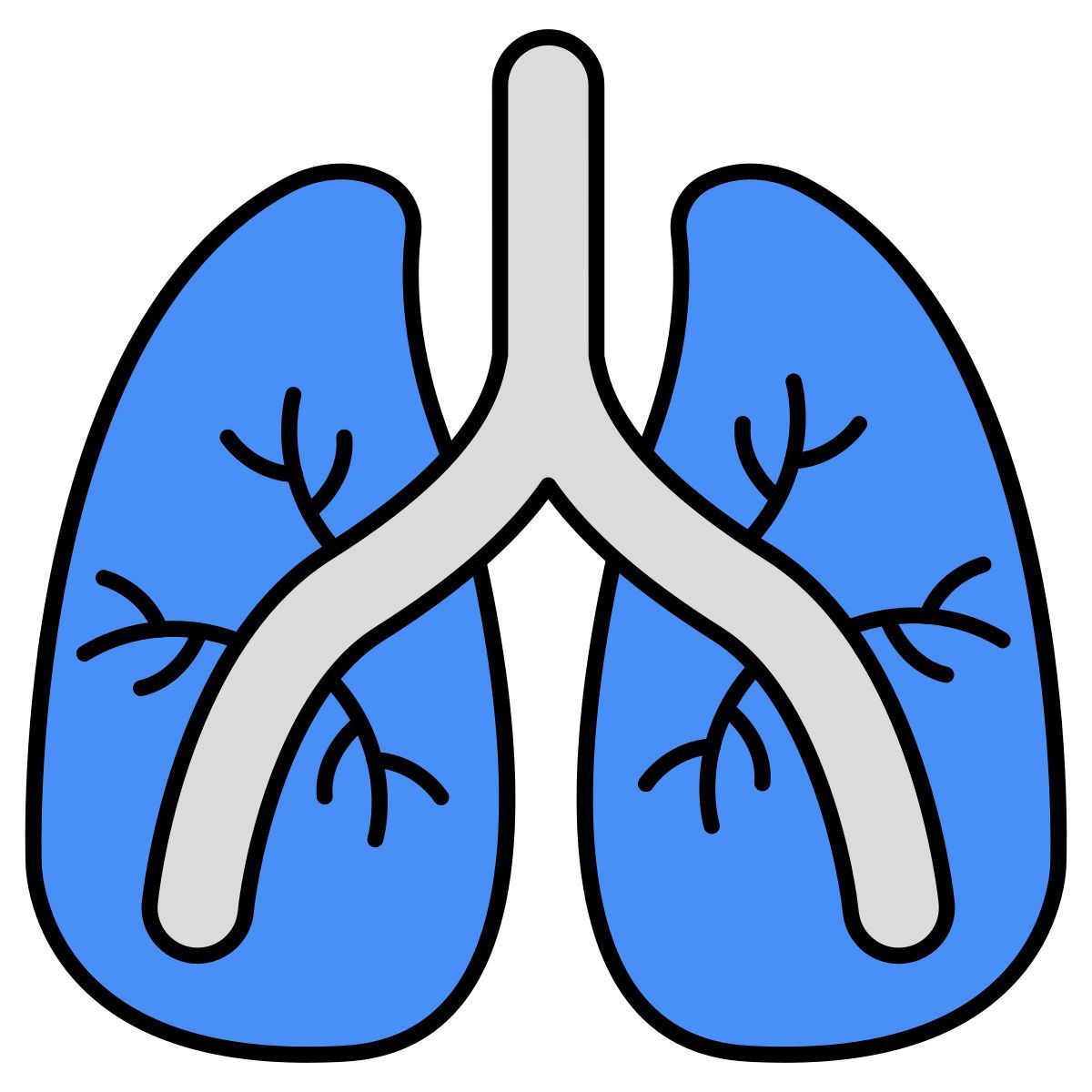 lungs icon