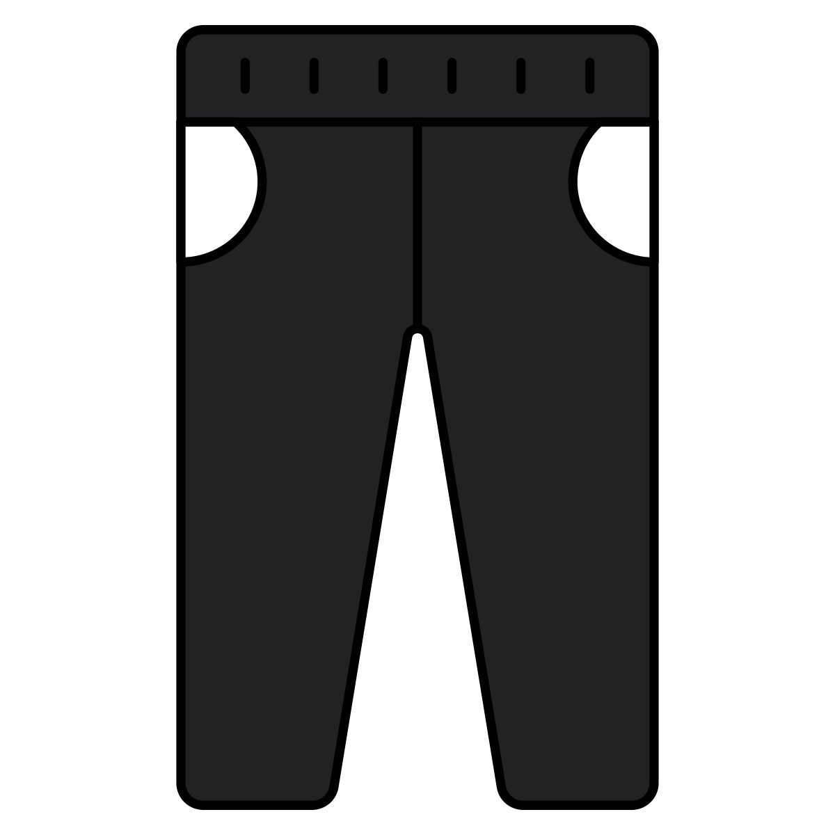 pants icon