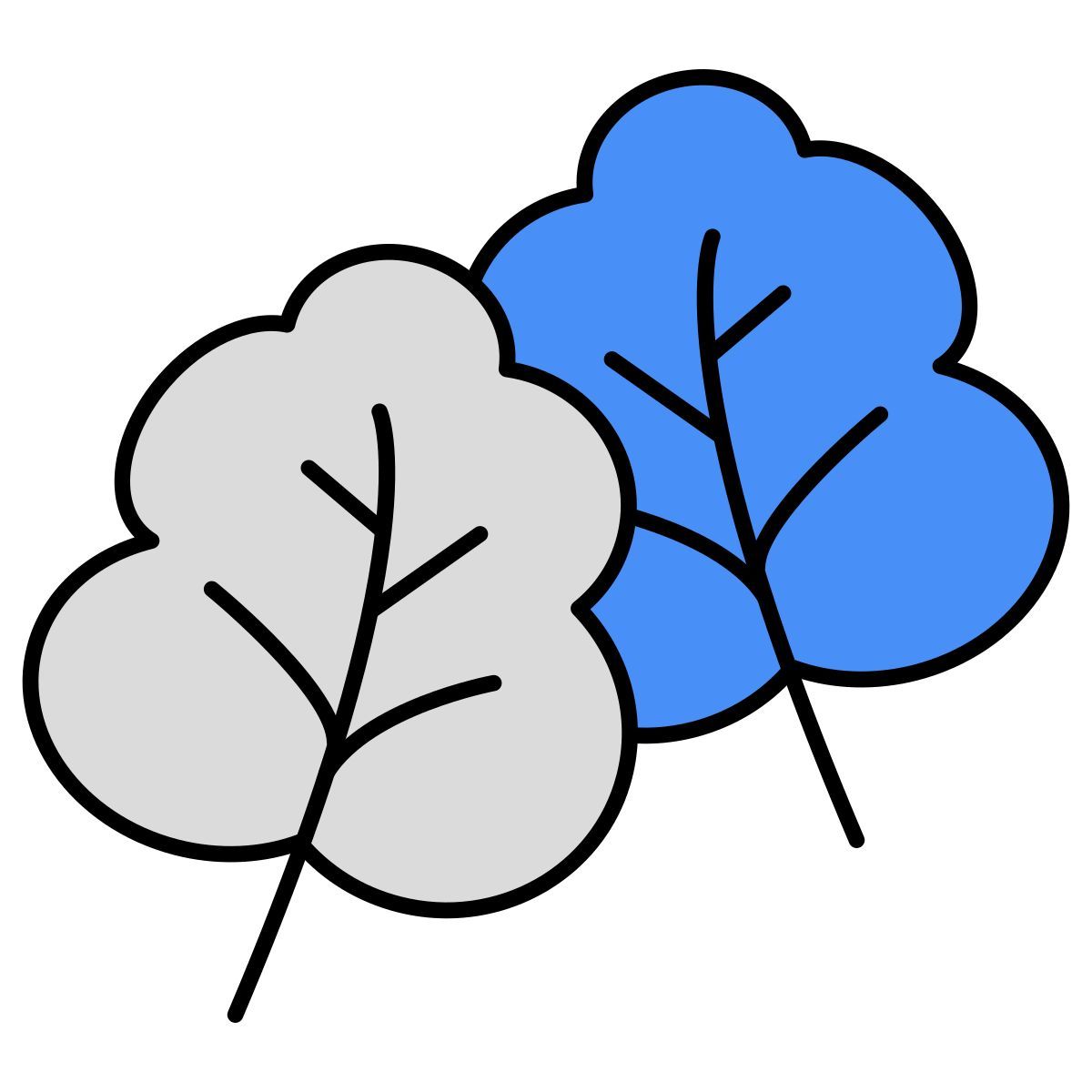 Salsinha icon