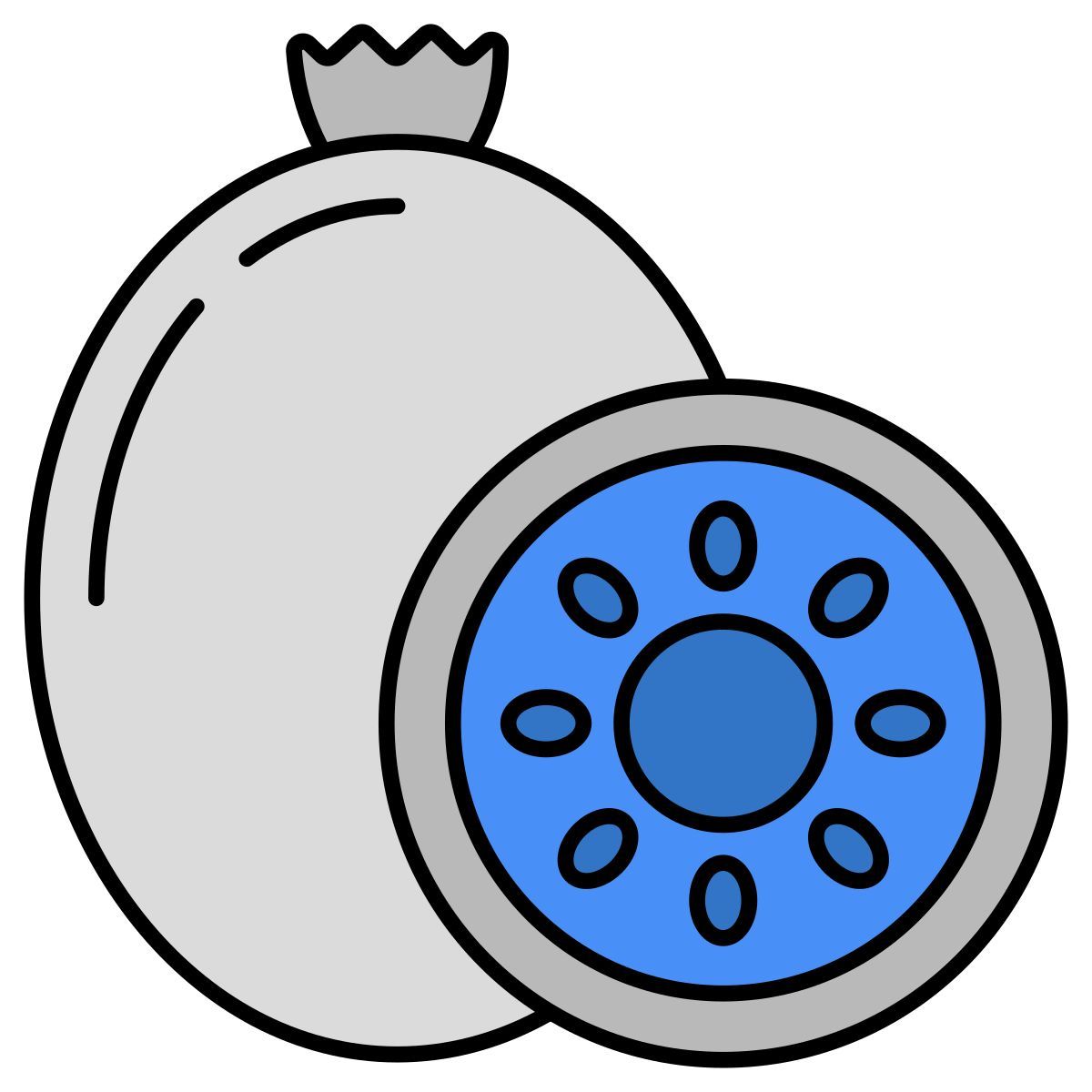pomegranate icon