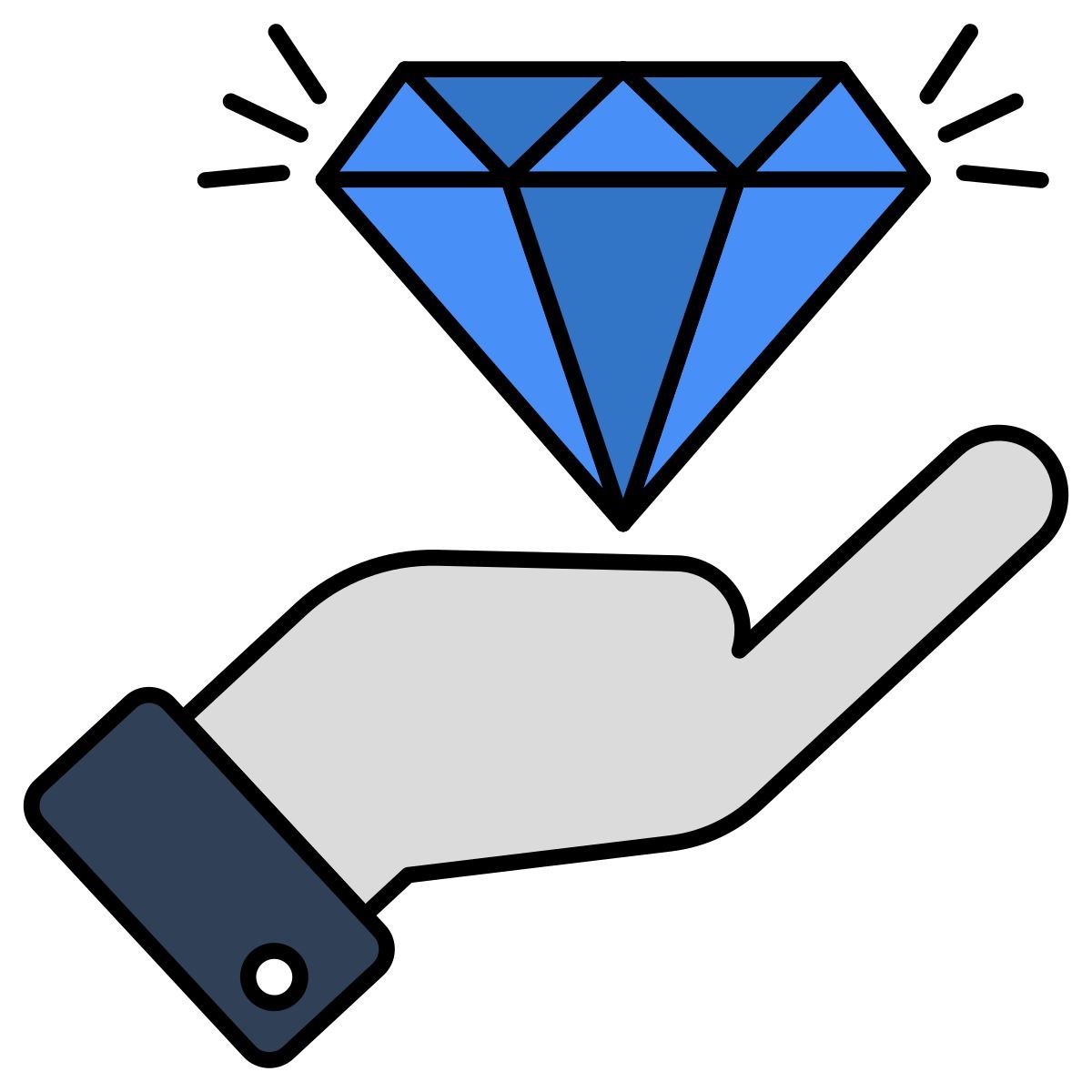 premium service icon