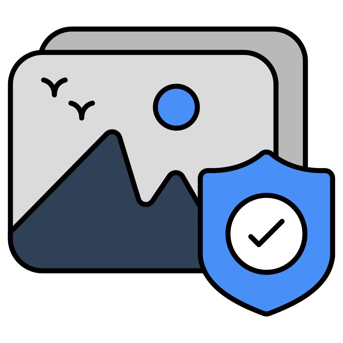 gallery security icon
