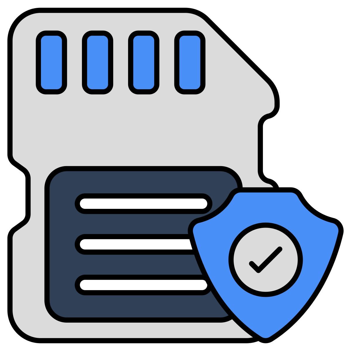 secure sd card icon